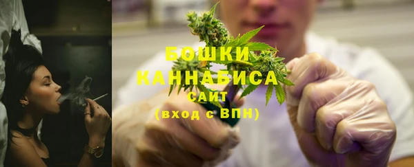 ешки Бронницы