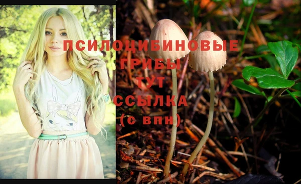 спайс Бородино