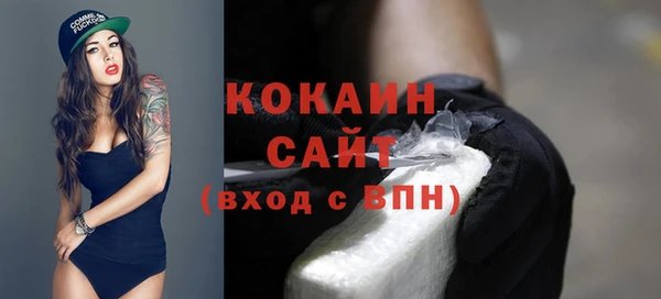 ешки Бронницы