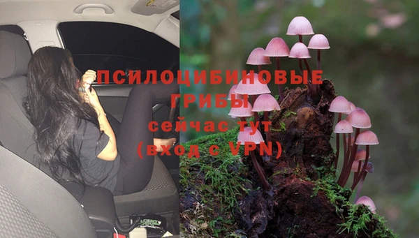 ешки Бронницы