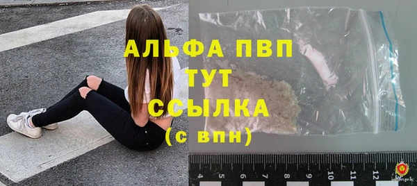 спайс Бородино