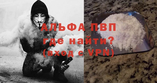 спайс Бородино