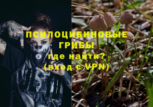 эйфоретик Бугульма