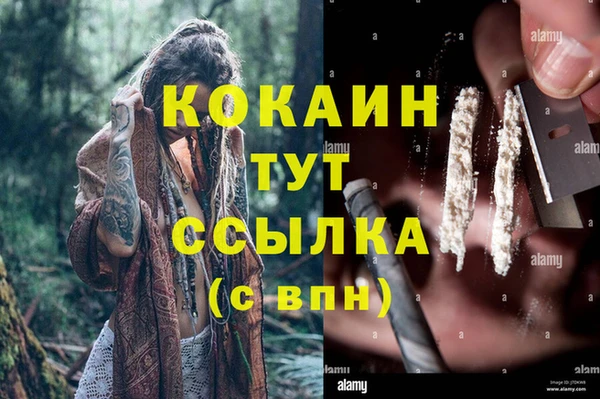 ешки Бронницы